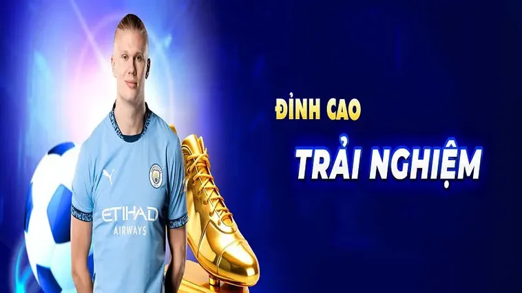 Tìm Hiểu Cá Cược Bóng Đá VN88 Cho Người Mới Và Cao Thủ