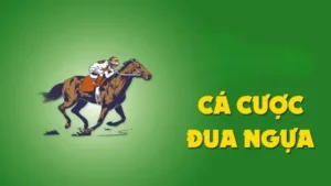 Tìm Hiểu Cá Cược Đua Ngựa VN88 Uy Tín Cho Người Mới Và Chuyên Nghiệp 4 Tìm Hiểu Cá Cược Đua Ngựa VN88 Uy Tín Cho Người Mới Và Chuyên Nghiệp