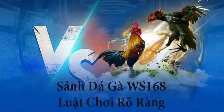 Trải Nghiệm Đá Gà WS168 Tại VN88 Đỉnh Cao 2 Trải Nghiệm Đá Gà WS168 Tại VN88 Đỉnh Cao