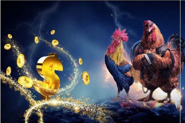 Đá Gà VN88 - Hướng Dẫn Cá Cược Thể Thao Hàng Đầu Việt Nam
